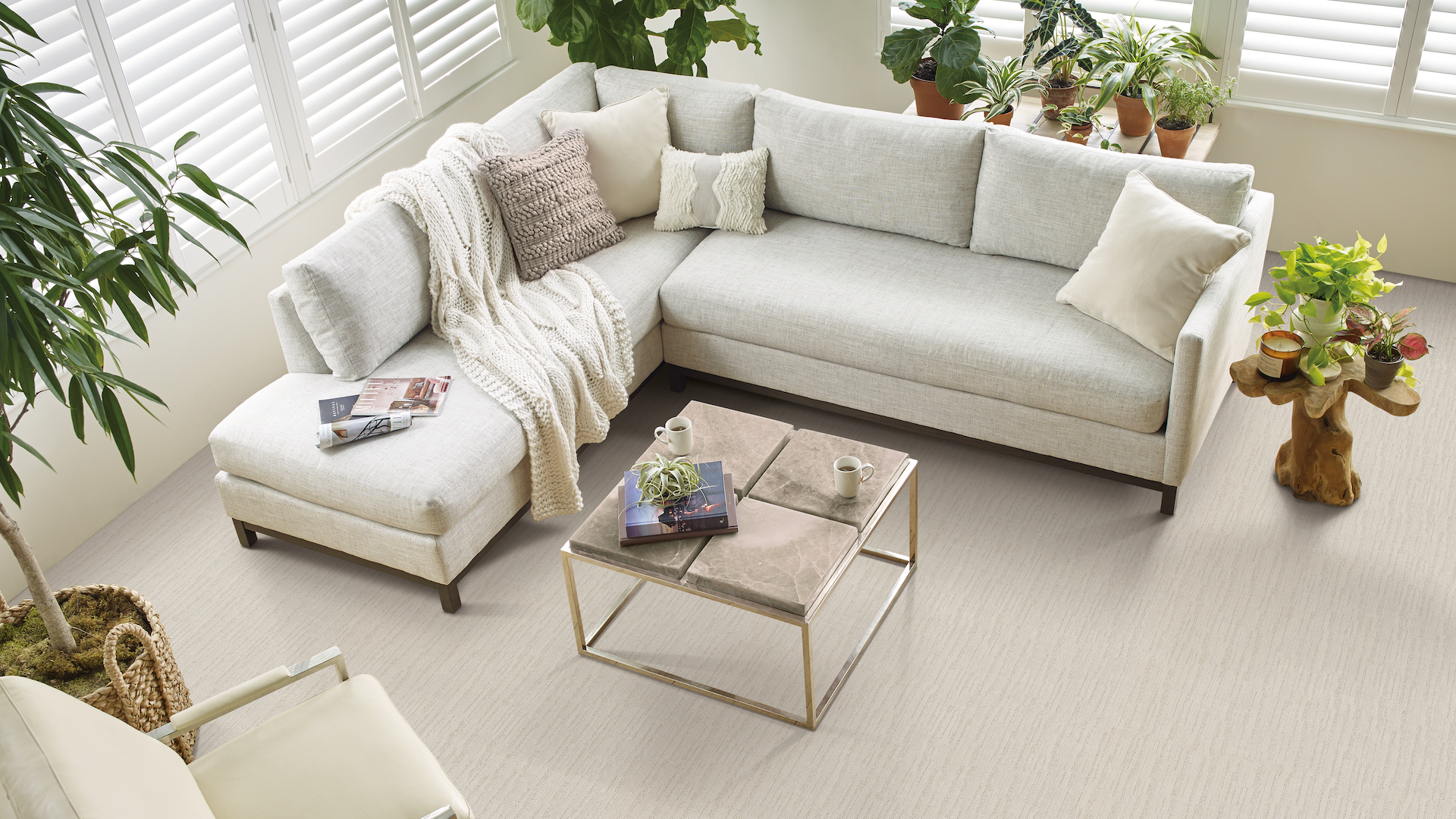 off white carpets in a earthy living room